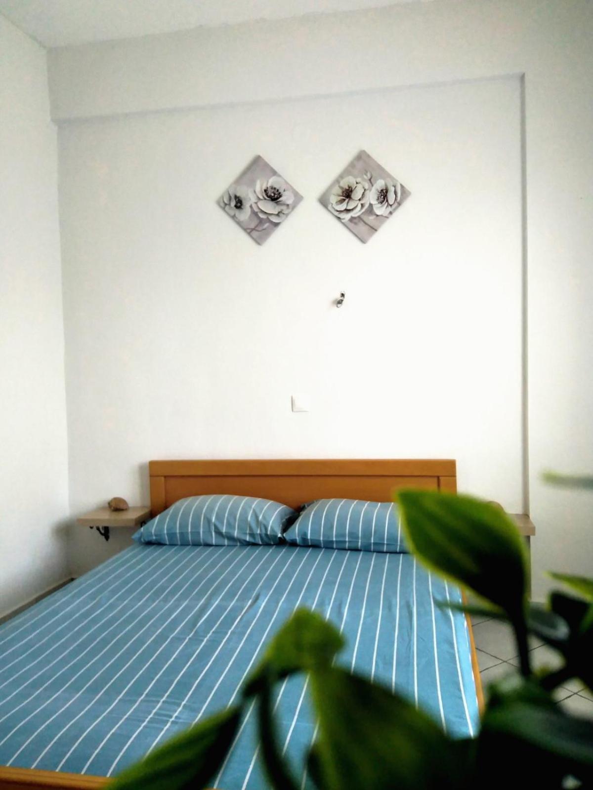 Maronia Villa المظهر الخارجي الصورة