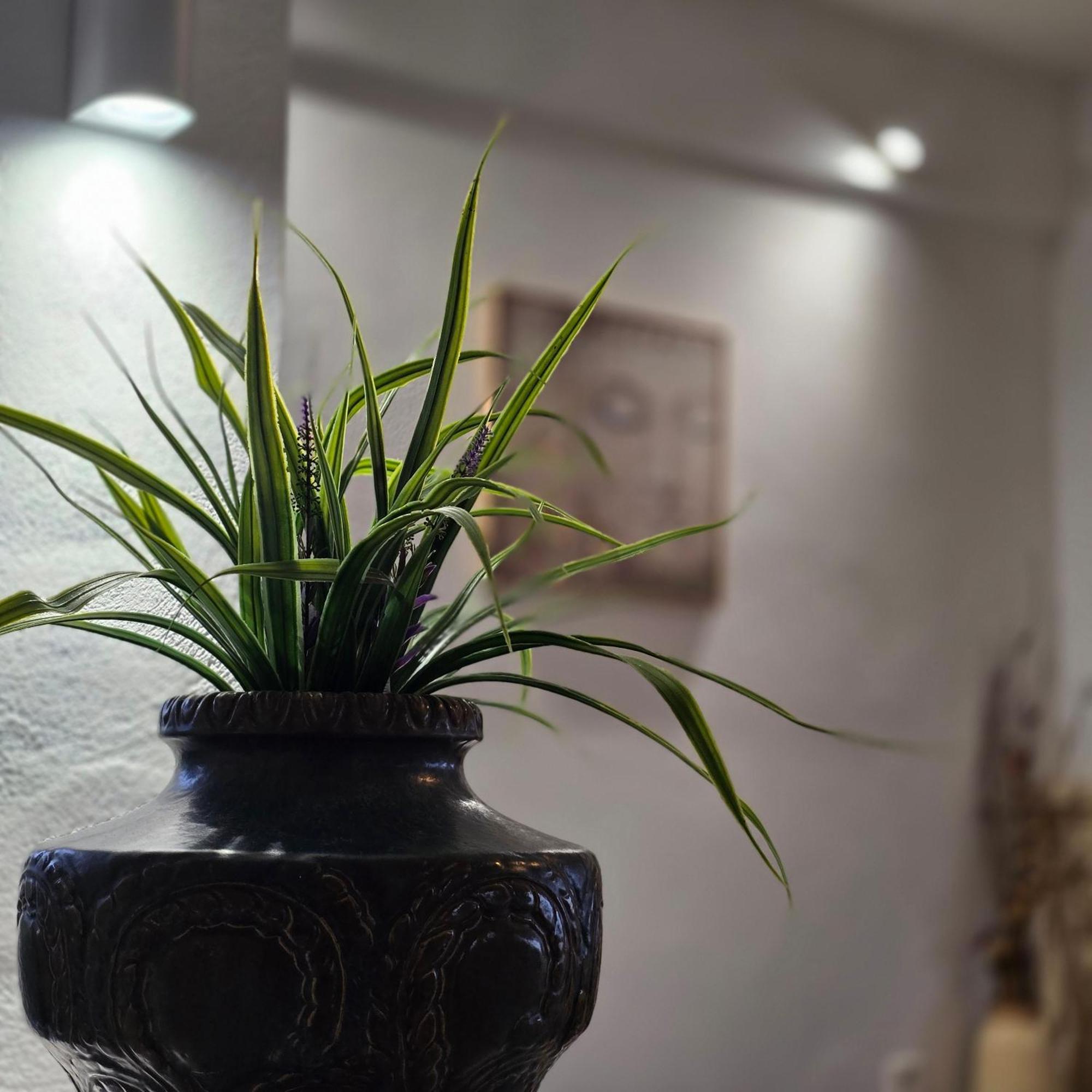 Maronia Villa المظهر الخارجي الصورة